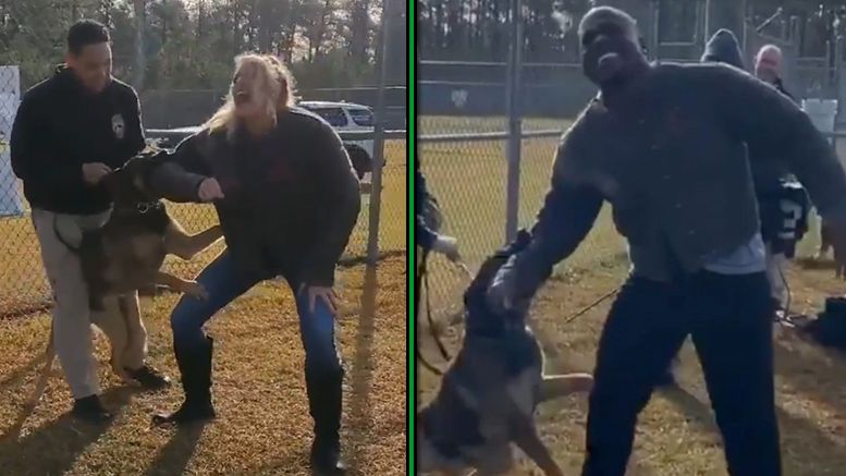 lacey evans apollo crews kalisto wwe dog attack military training video footage bite