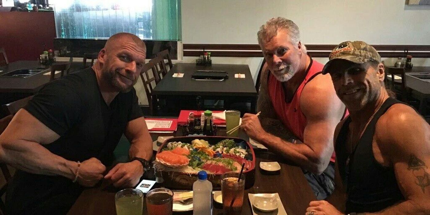 10 Things You Didn't Know About Shawn Michaels' Return In 2002