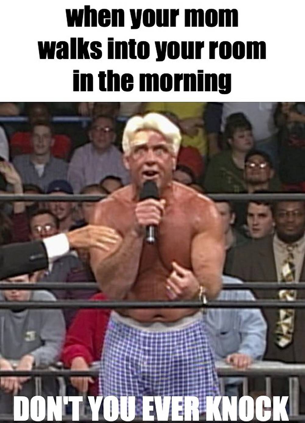 Woo 10 Hilarious Ric Flair Memes