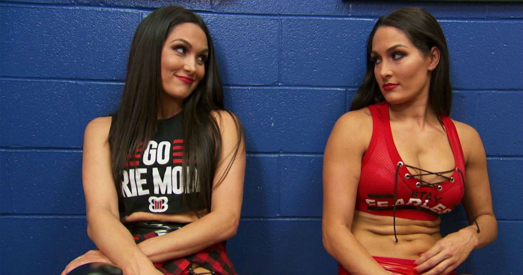 Nikki & Brie Bella Reveal They Are Both Pregnant