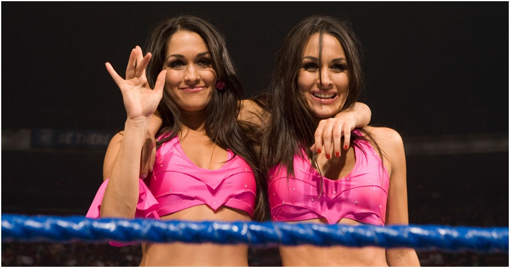 10 Reasons The Bella Twins Are An Underrated Team