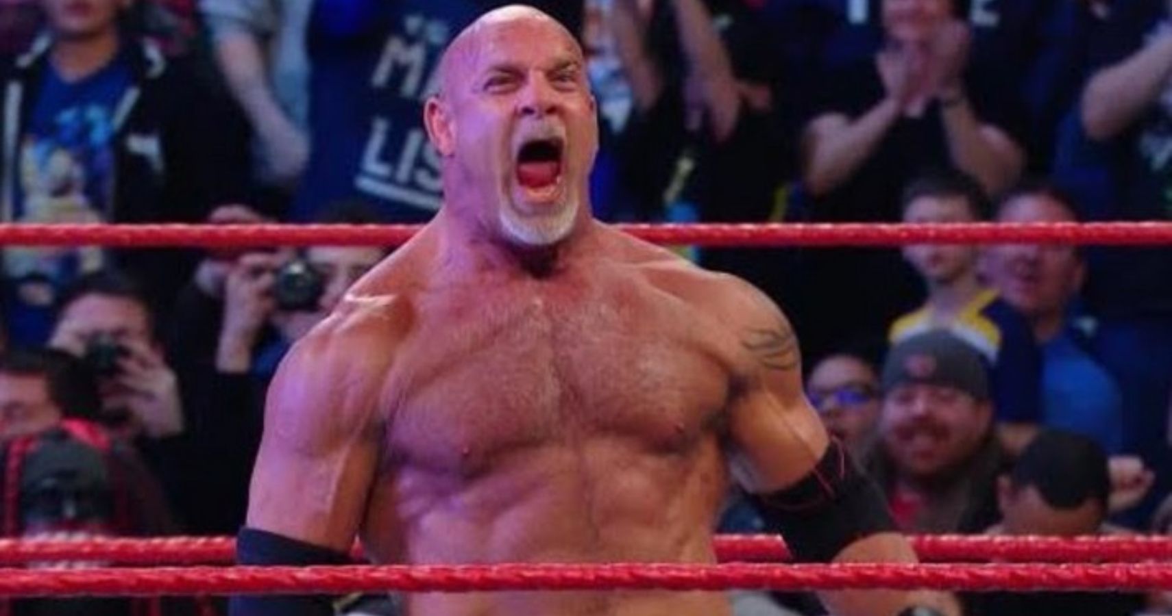 Bill Goldberg visual data 5