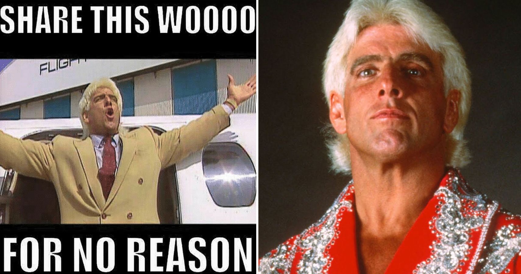 Woo! 10 Hilarious Ric Flair Memes | TheSportster