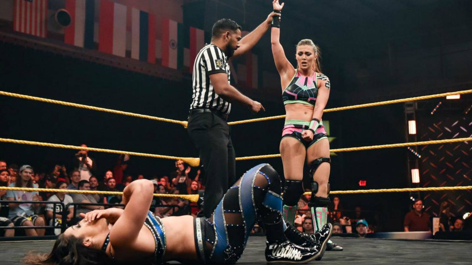 Two More Superstars Qualify For NXT TakeOver: Tampa Ladder Match
