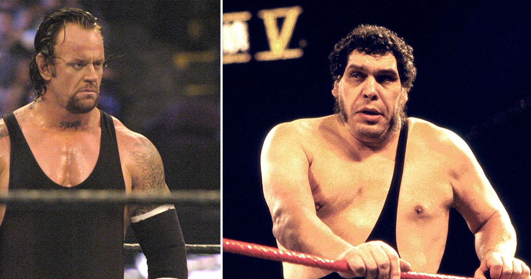Undertaker and Andre The Giant