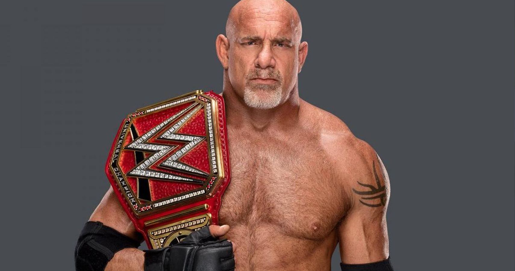 Goldberg's 5 Best WCW Matches (& His 5 Best In WWE) .