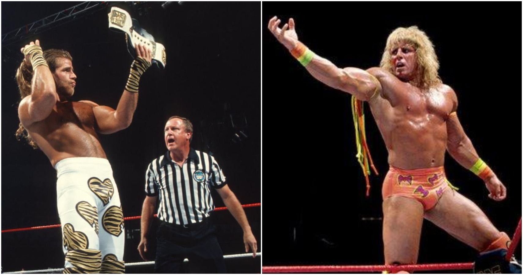 10 Pairs Of Wrestling Legends Who Shockingly Never Feuded