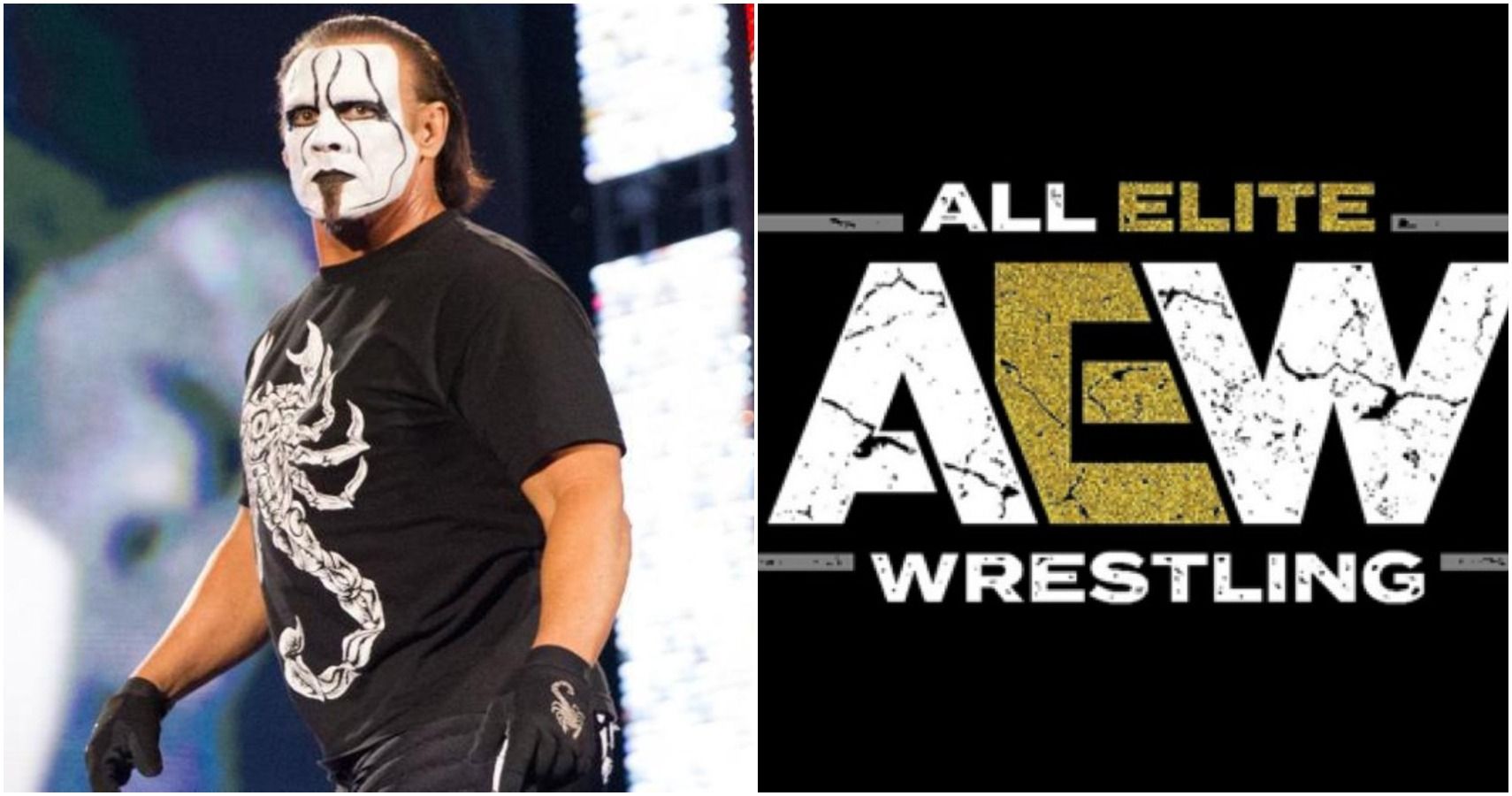 is sting going to aew