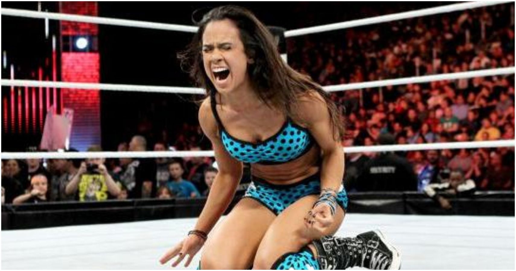 10 Things About AJ Lee That Would Never Fly Today