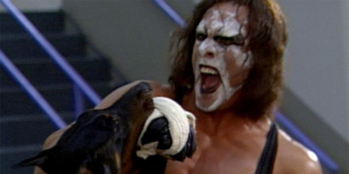 sting attacked by dogs