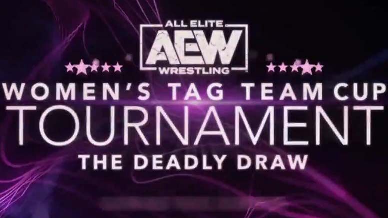 aew womens tag team tournament deadly draw announced summer