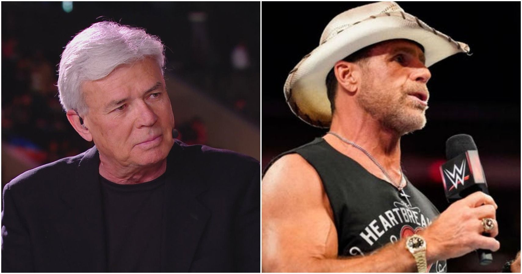 Eric Bischoff Reveals Why WCW Had No Interest In Signing Shawn Michaels