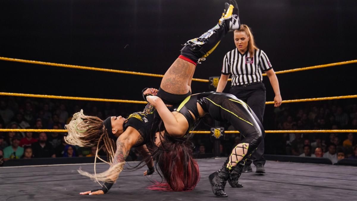 The 10 Wrestlers With The Best German Suplexes Ever, Ranked