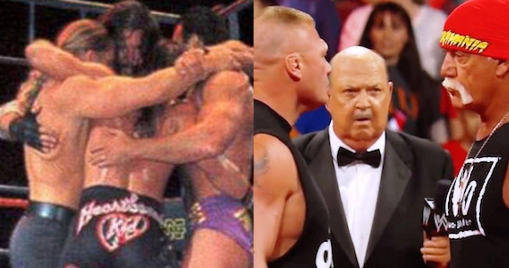 Curtain Call Incident, Lesnar, Hogan