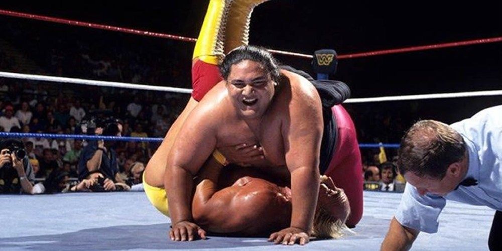 Hogan and Yoko 1993