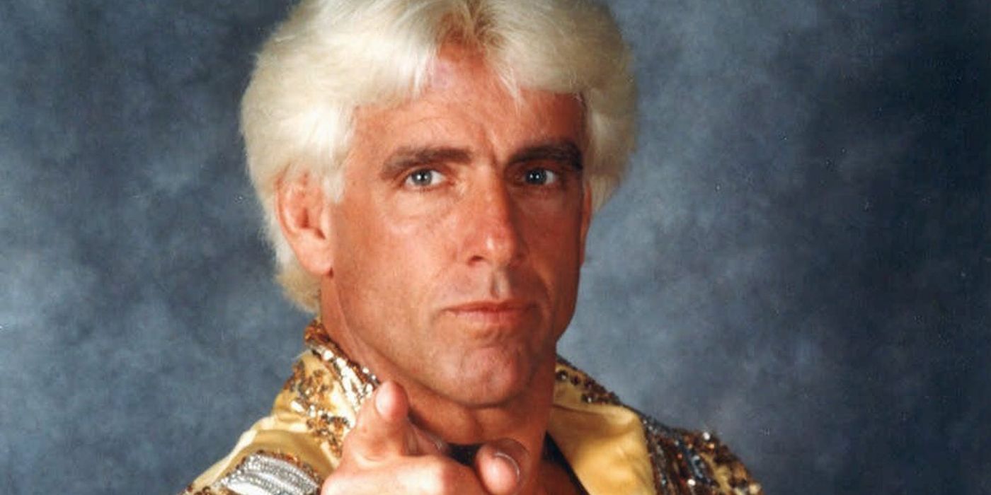 Ric Flair in WCW