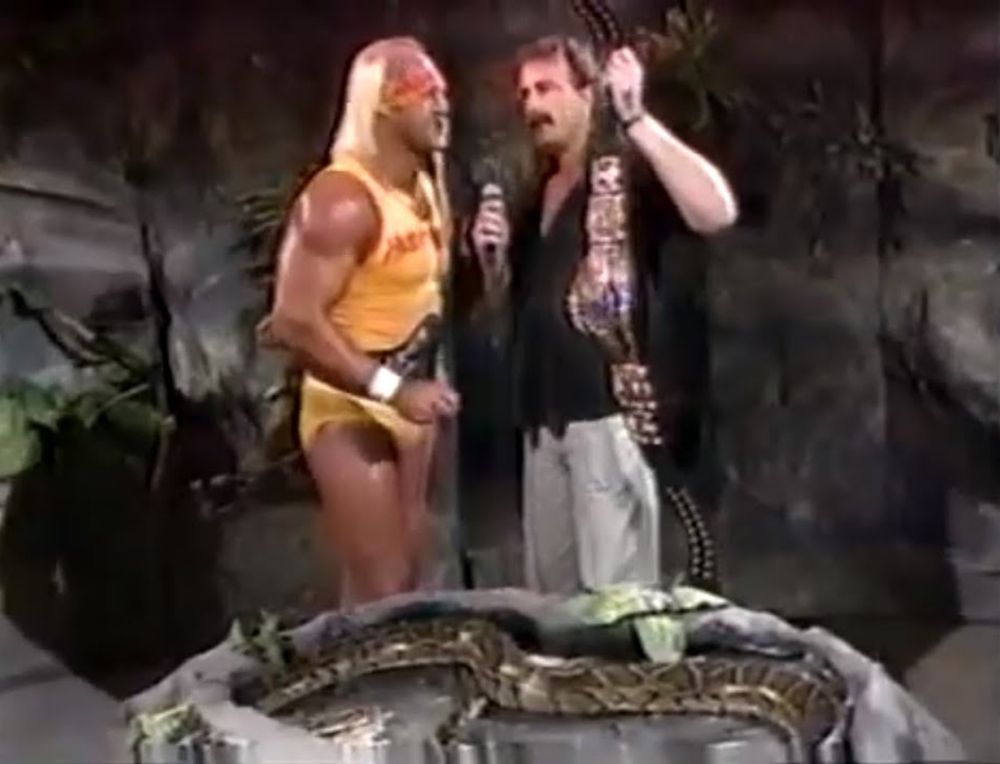 Hulk Hogan vs. Jake Roberts