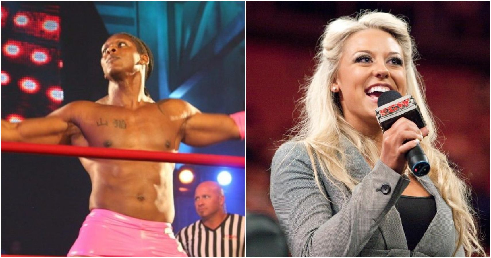 10 Wrestlers Who Had Different Gimmicks In Wwe And Tna 2435