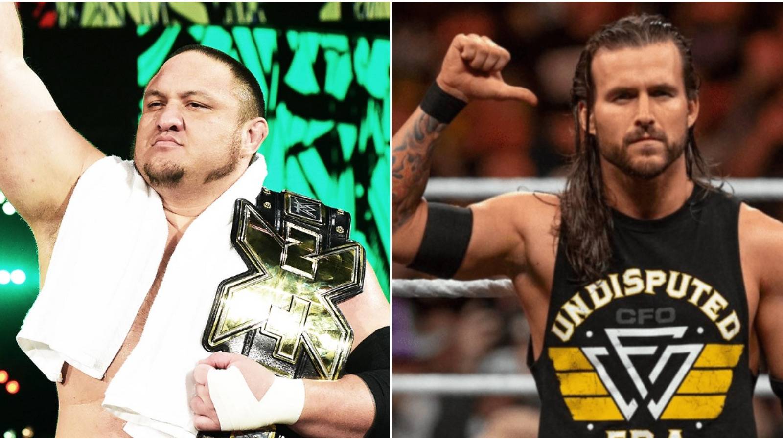 Nxt Stars 5 Greatest NXT Stars WWE Always Believed In (& 5 That Shocked Them)