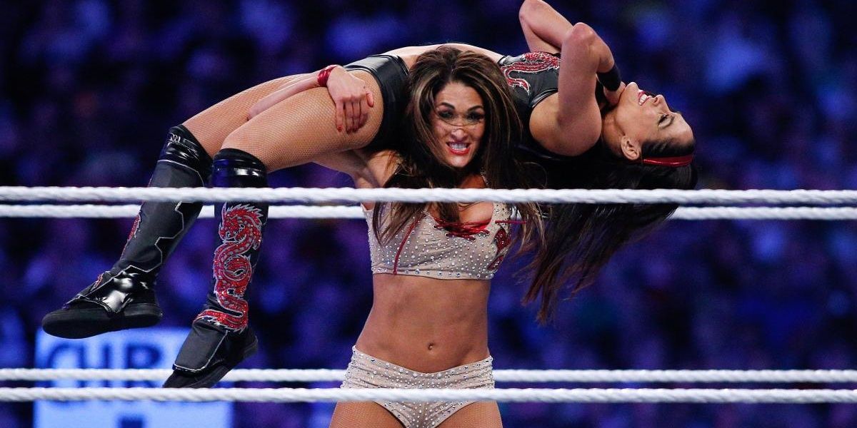 Nikki Bella vs Brie Bella
