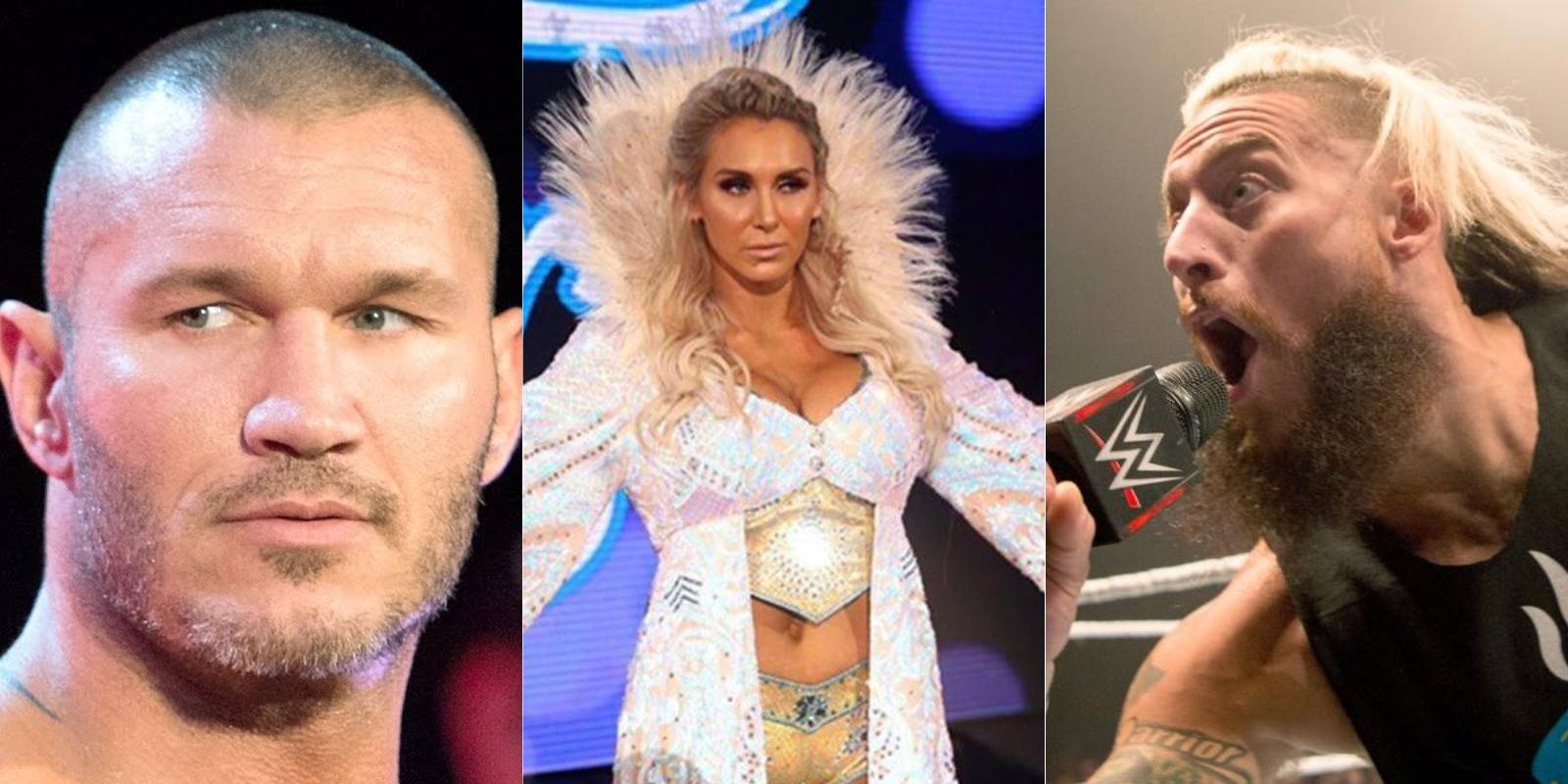 Edwin Dewees 10 Wrestling Babyfaces Who Never Did Anything Heroic