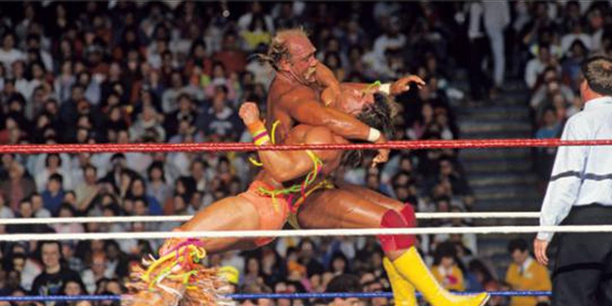 Hogan v Warrior 1990