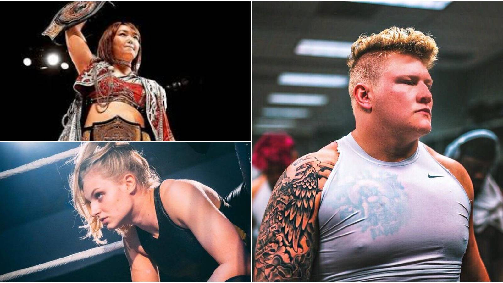 Impressive List Of Names Finally Revealed For WWE’s Latest Group Of New ...