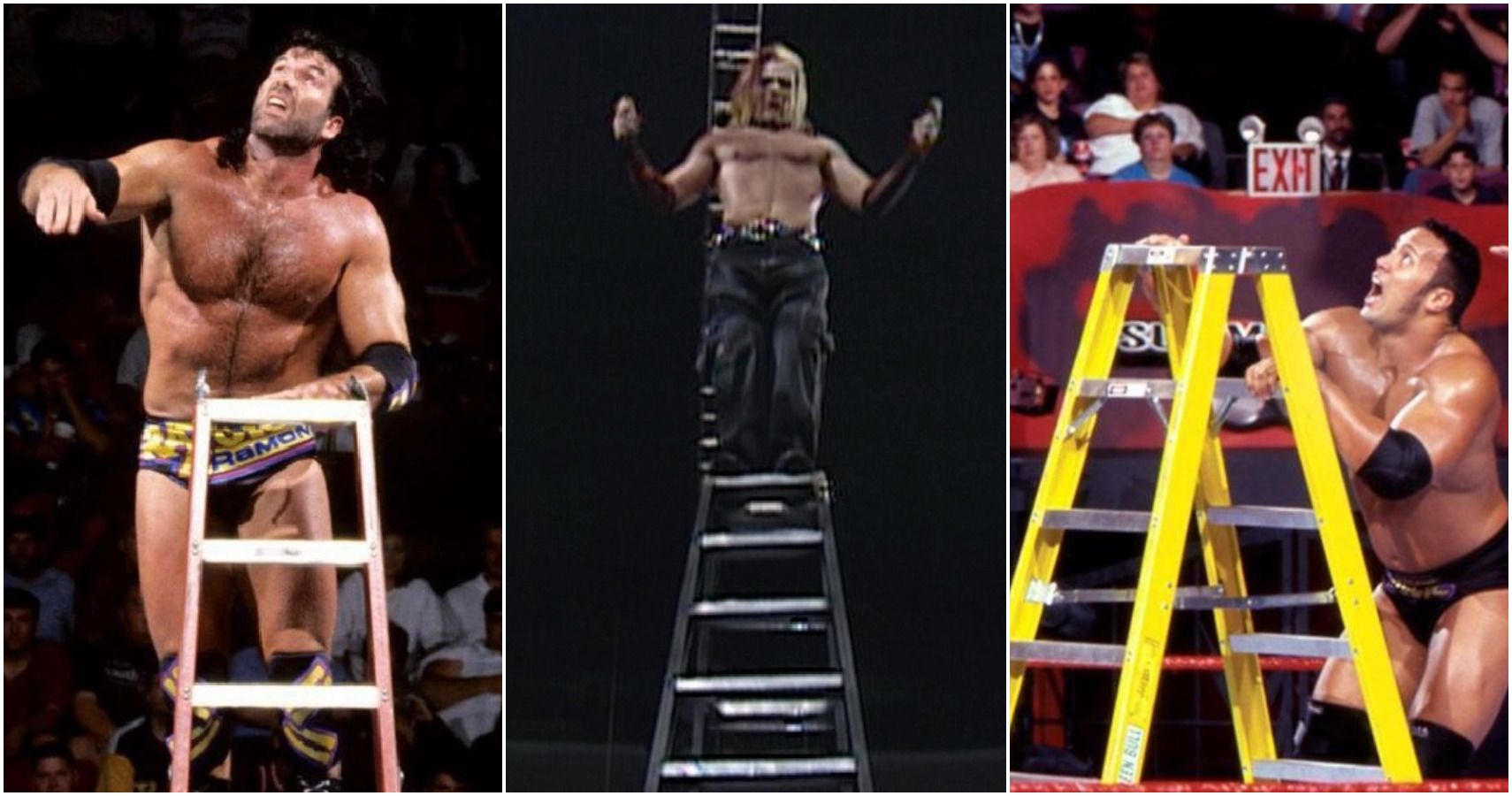WWE ladder matches