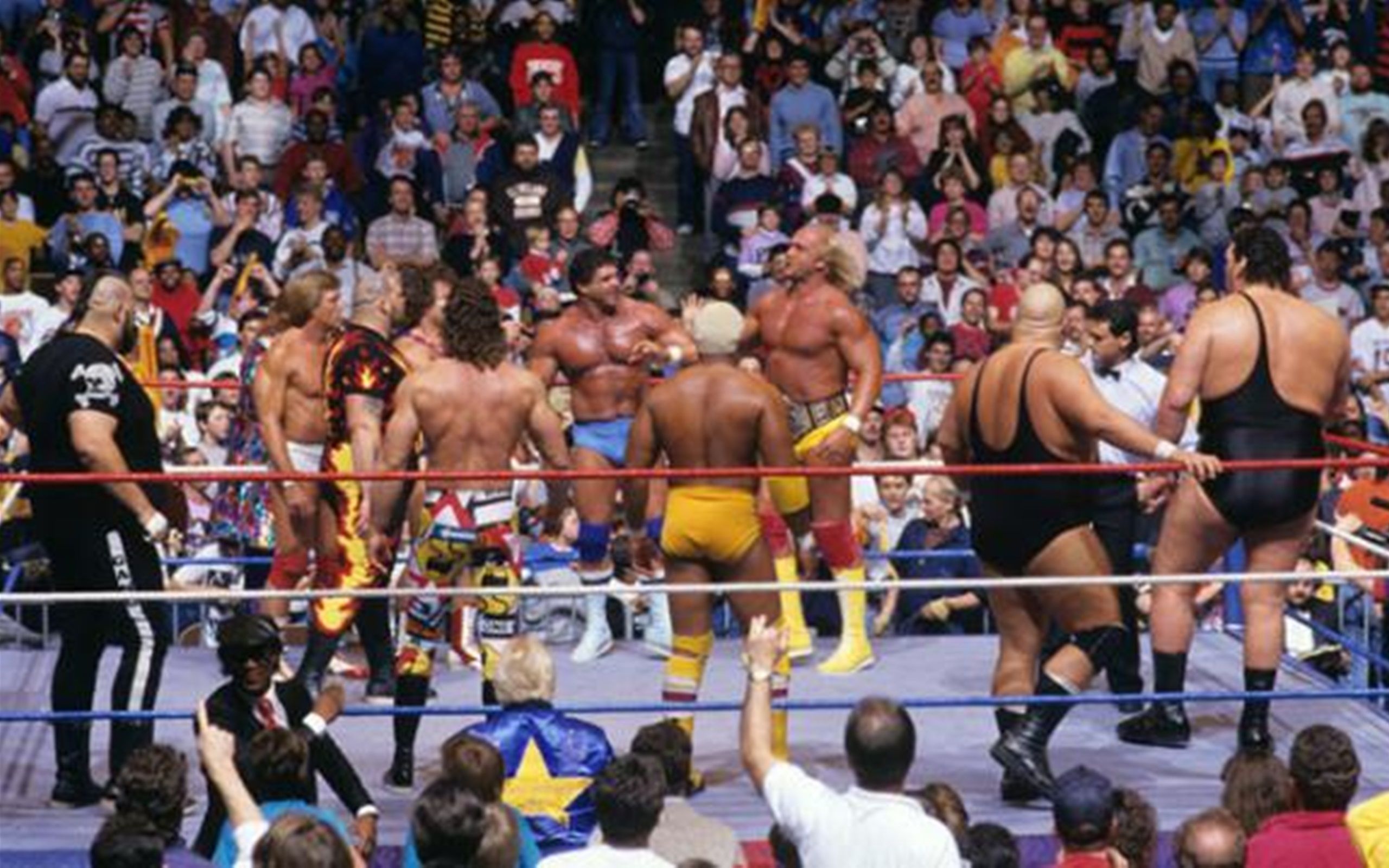 Hulk Hogan and his teammates facing off against Andre The Giant and the Heenan Family