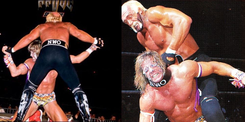 Hogan Warrior WCW