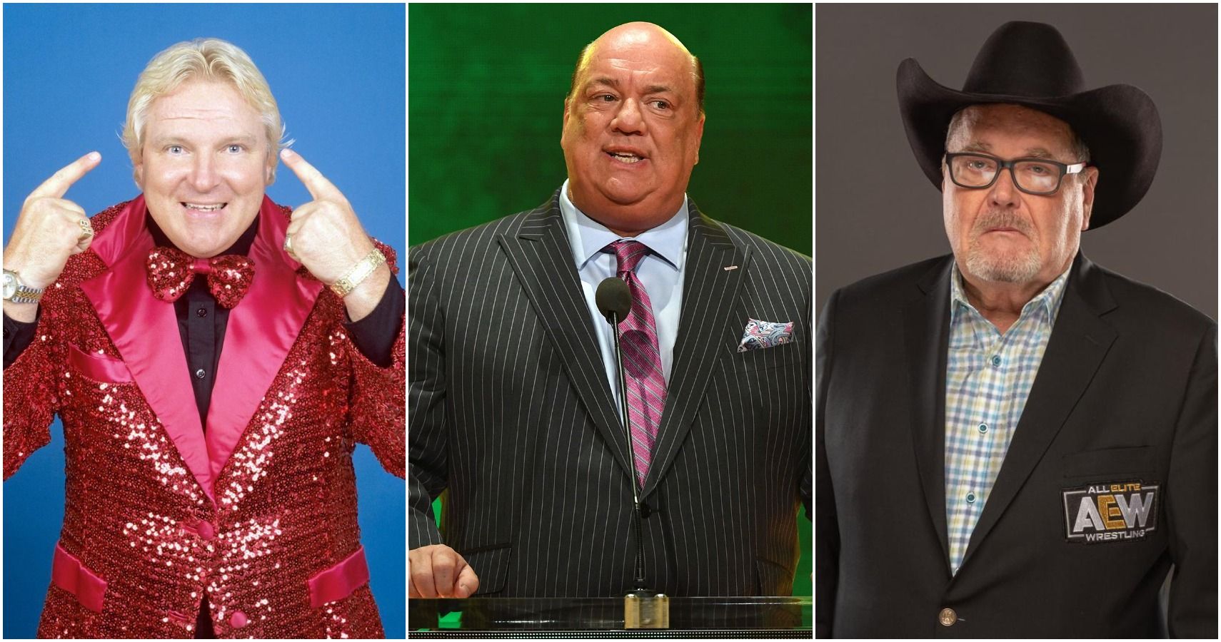 5 Best Announcers In WWE History (And Their Best Quote)