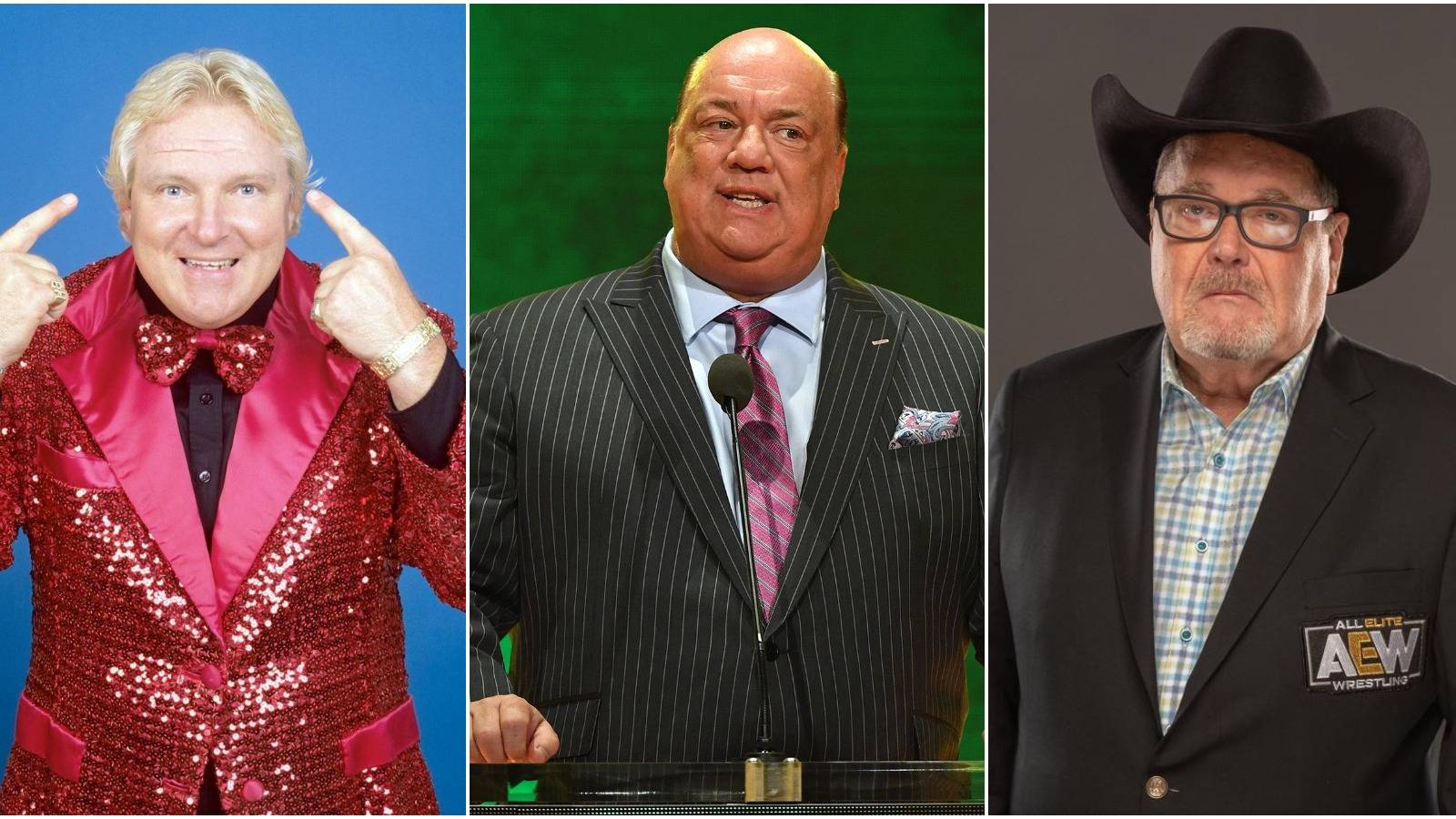 5 Best Announcers In WWE History (And Their Best Quote)