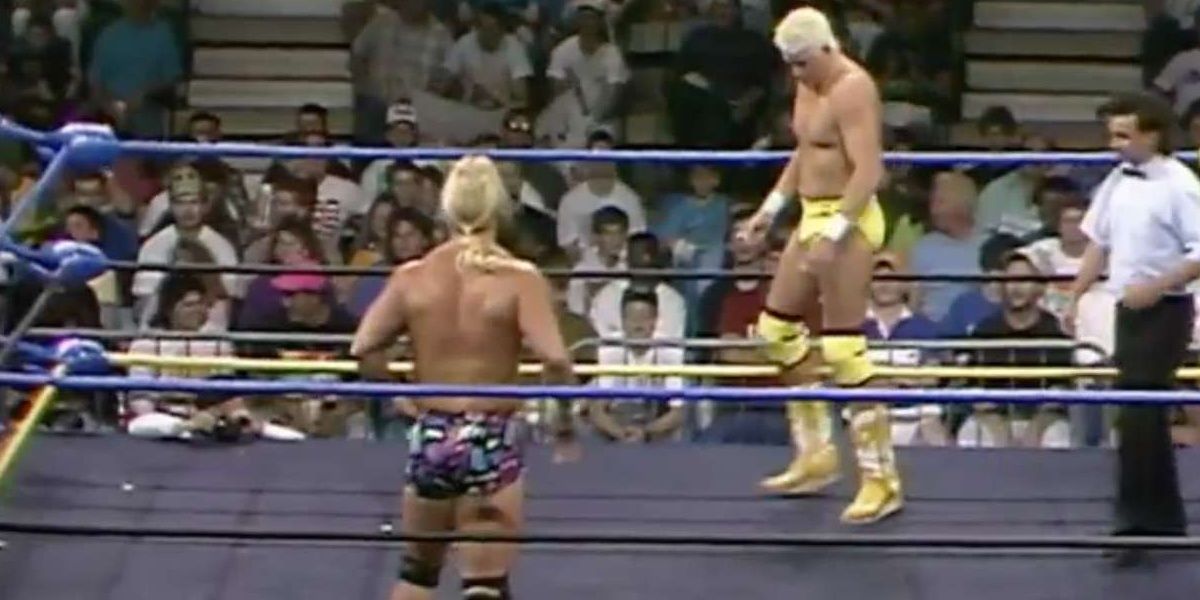 Steve Austin vs. Dustin Rhodes (Halloween Havoc, 1993)