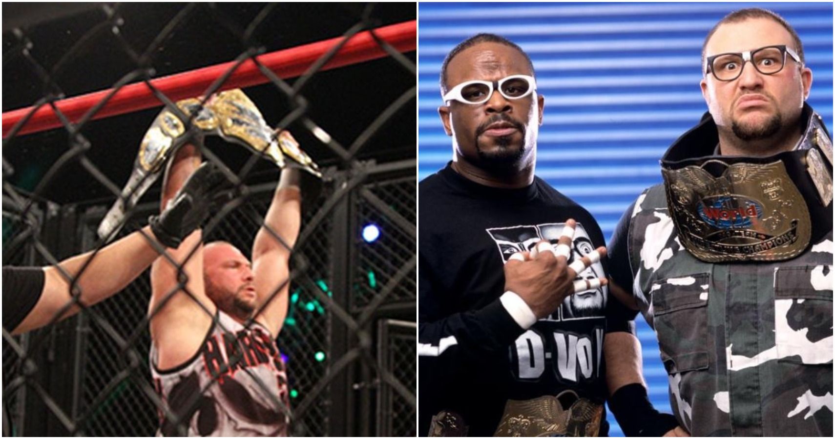 The Dudley Boyz in TNA and WWE