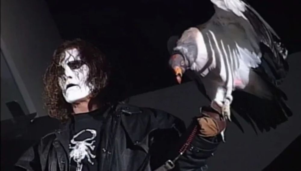 Sting with a vulture