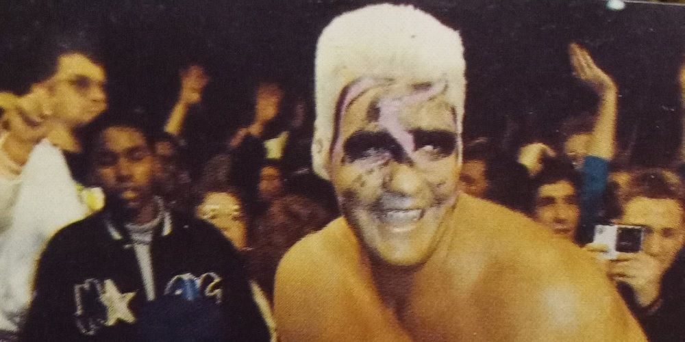Barry Windham As Sting