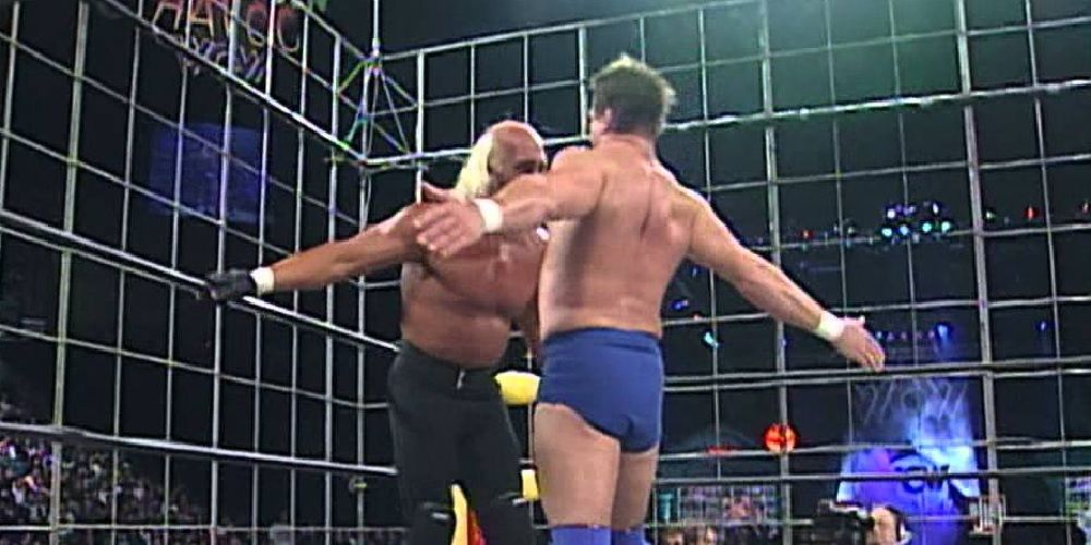 Hulk Hogan vs Roddy Piper Cage Match