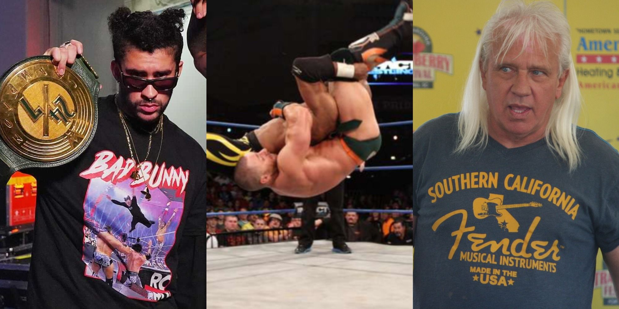 6 Shocking Wrestlers You Can't Believe Did A Canadian Destroyer