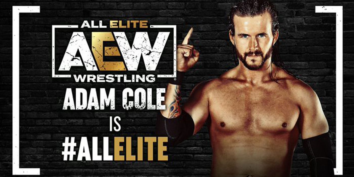 Adam-Cole-AEW-All-Out-1
