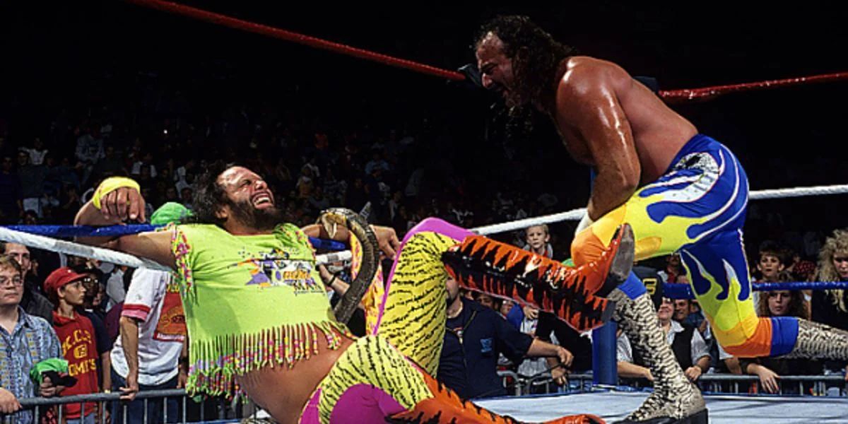 Randy-savage-vs-jake-roberts