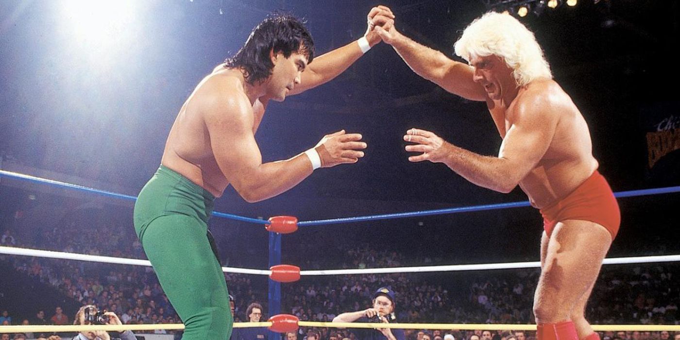 Ricky Steamboat vs Ric Flair in WCW.