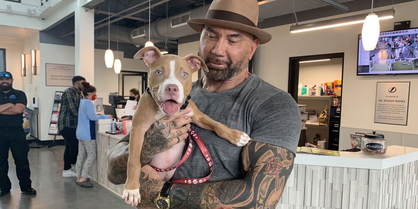 Former WWE Superstar Dave Bautista (Batista) adopted an abused puppy named Penny and offered a $5,000 reward for information on her abuser