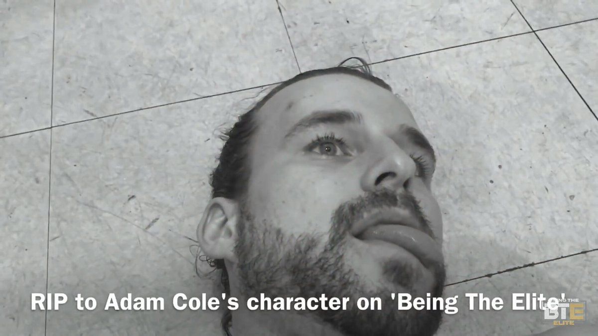 Adam Cole Being The Elite Death