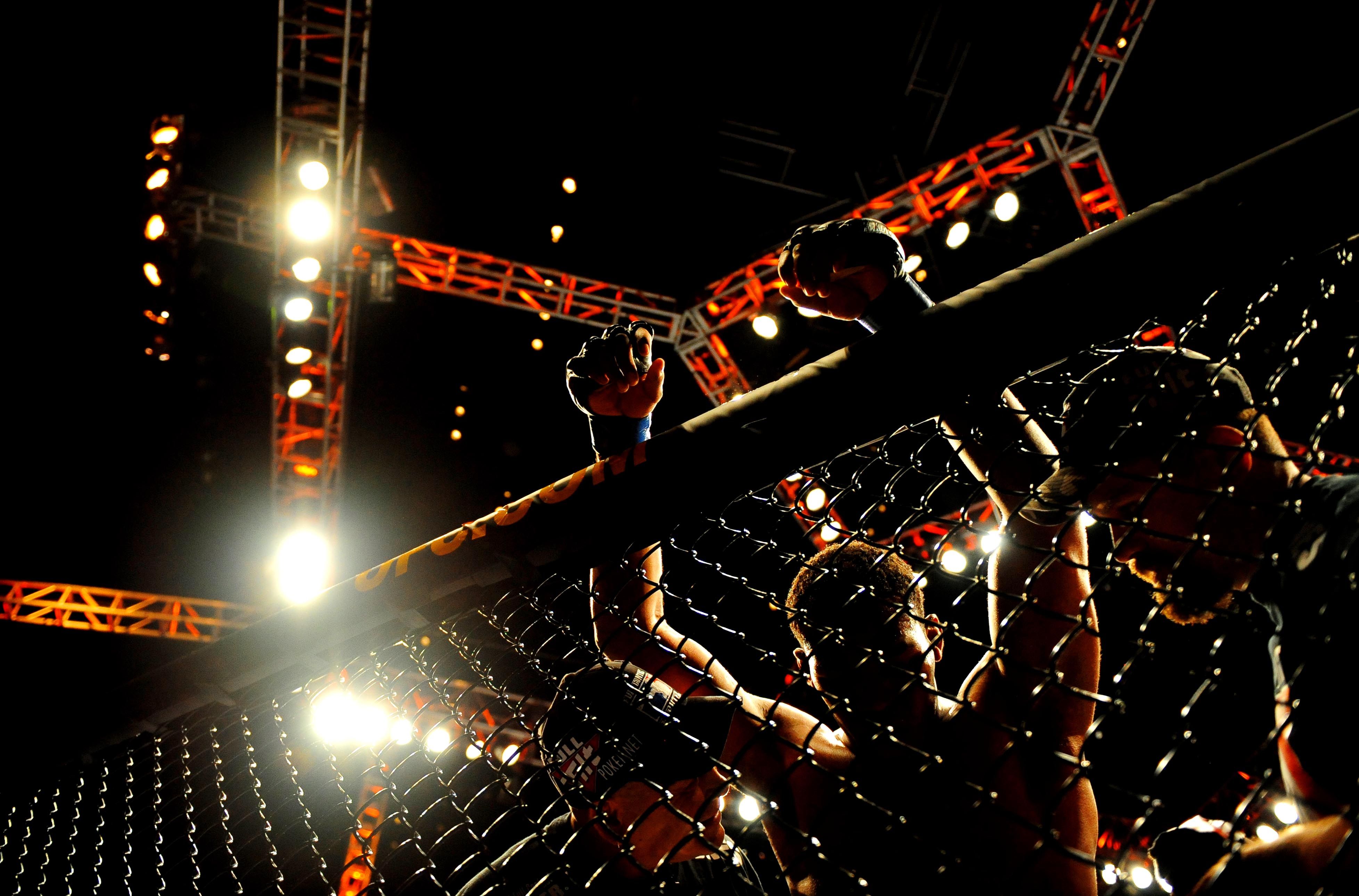 UFC 94 Cage