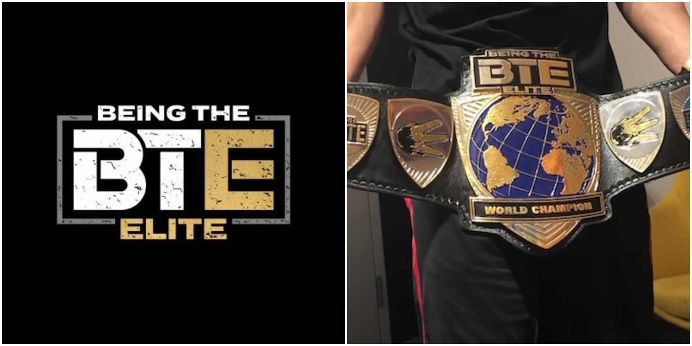 Being The Elite BTE Logo and Championship