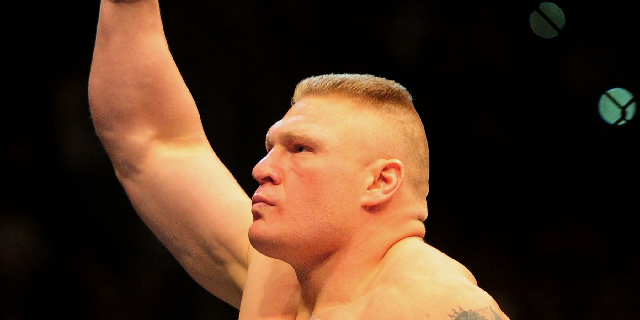 Brock Lesnar UFC Cropped (2)