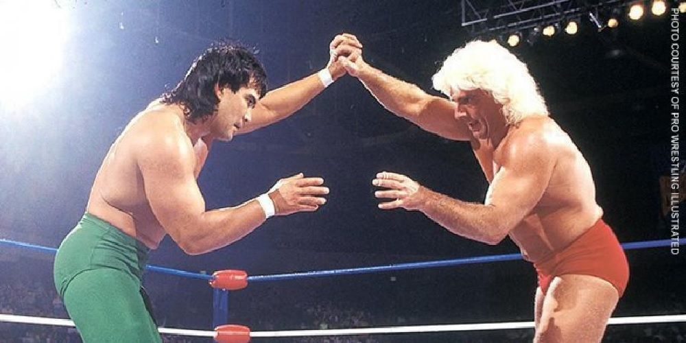 Ricky Steamboat Ric Flair