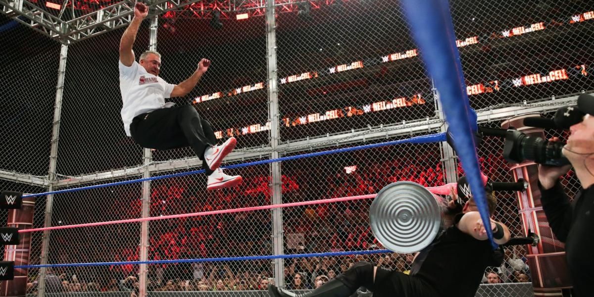Shane McMahon v Kevin Owens Hell in a Cell 2017 Cropped