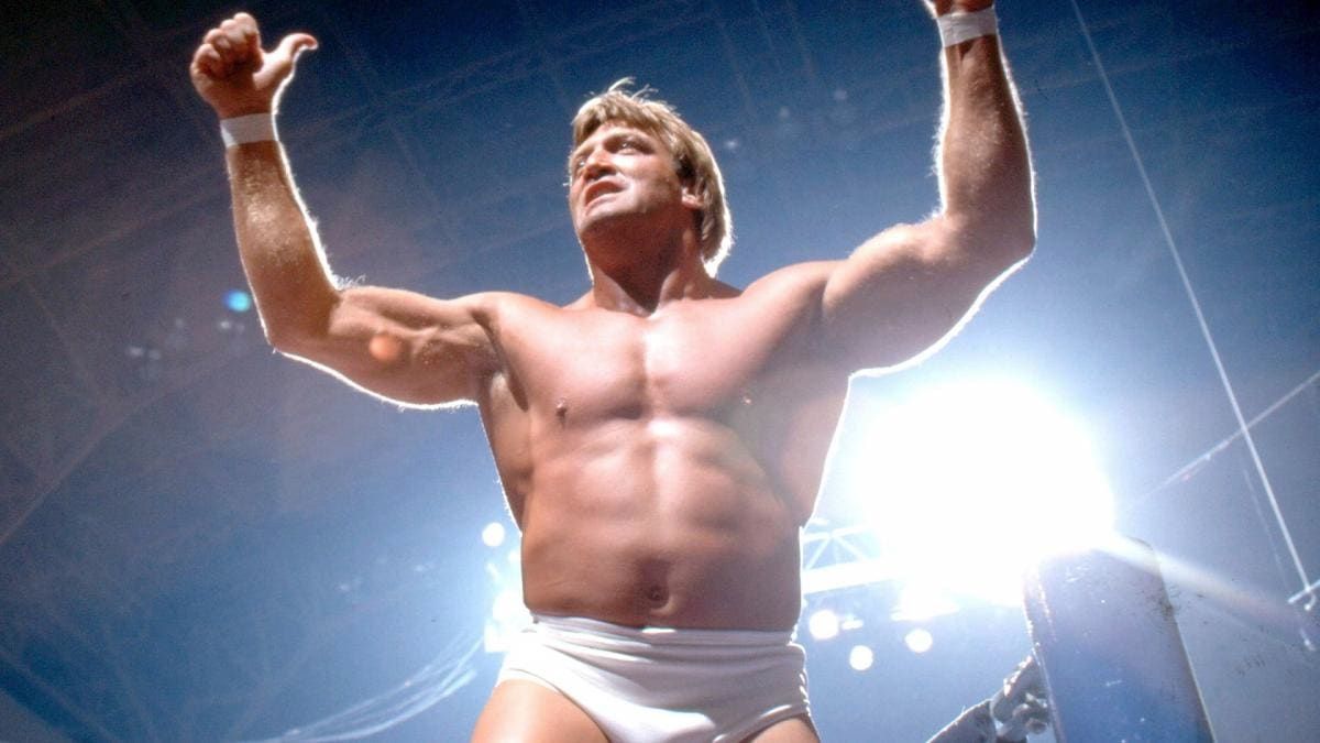 Paul Orndorff in WWE