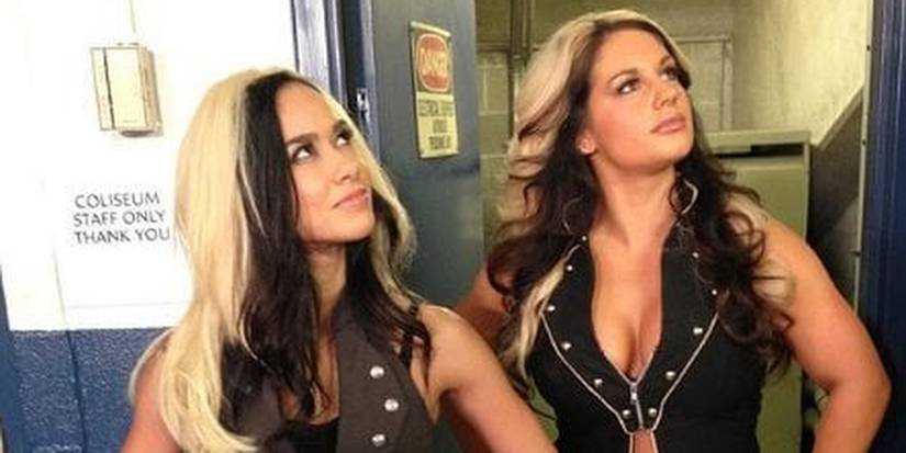 AJ Lee And Kaitlyn Cropped